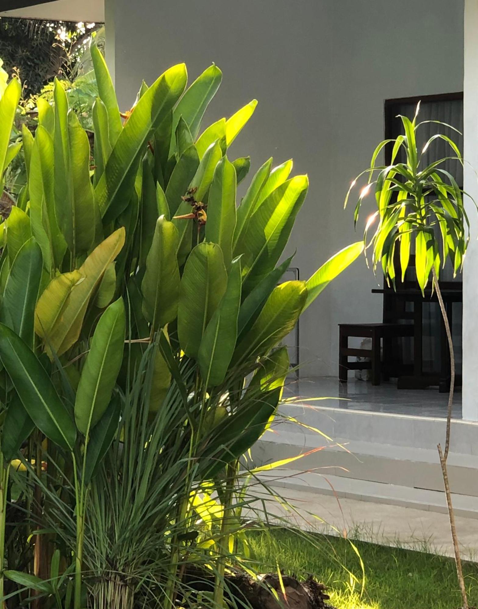 Maha Di Nusa Lembongan Exterior photo